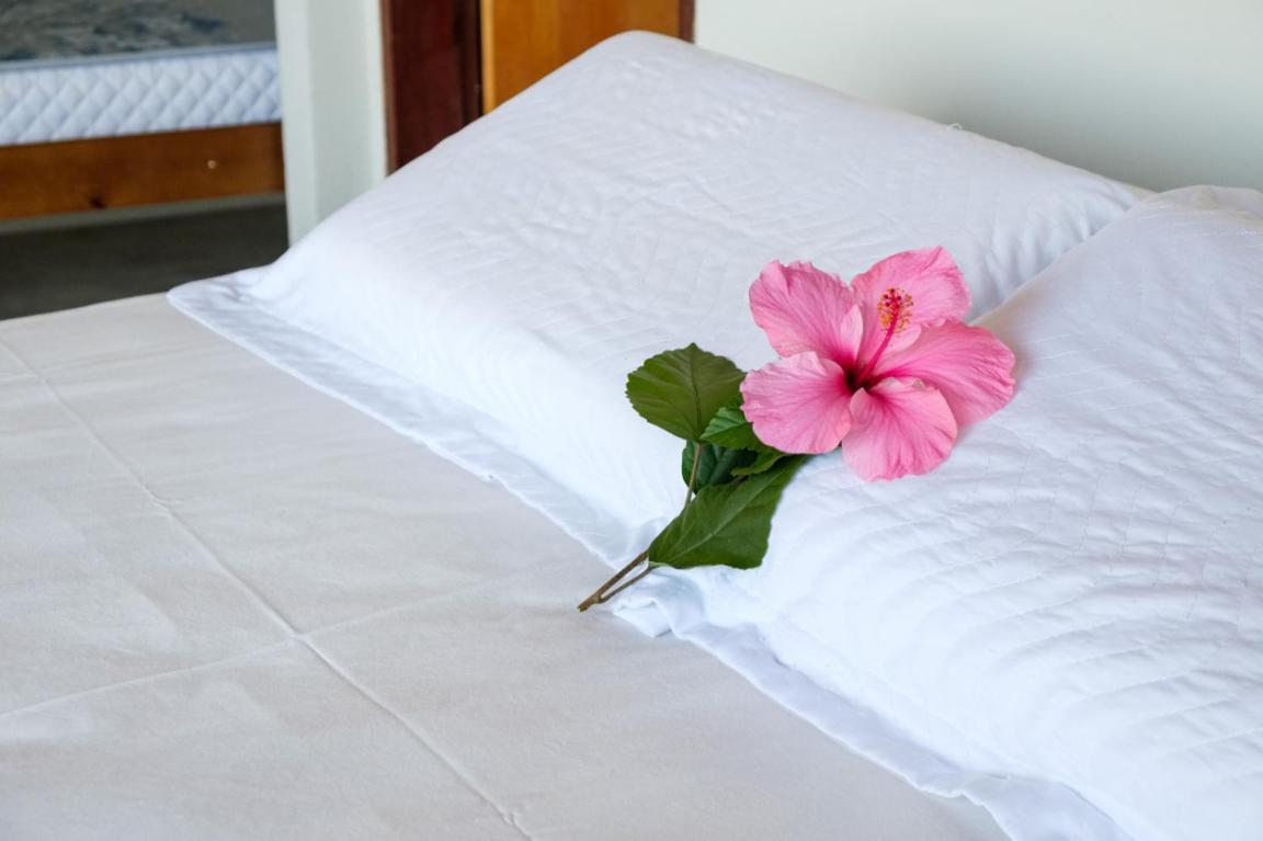 Haleiwa Chales E Suites - A Guest House Do Prumirim Ubatuba Exterior photo